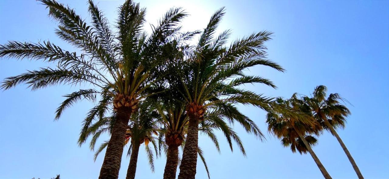 Apartamento Denia Beach By Denia Costa ภายนอก รูปภาพ